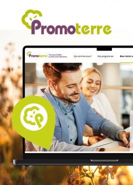 PROMOTERRE // Refonte du site internet